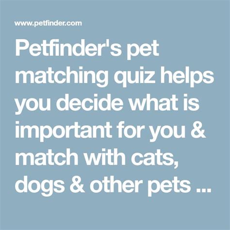 <strong>Petfinder</strong>'s pet matching <strong>quiz</strong> helps you decide what is important for you & match with cats, dogs & other pets in need of rescue in your area. . Petfinder quiz